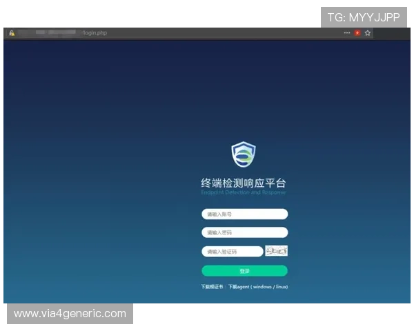 江南体育登录入口最新指南帮助用户快速安全登录平台